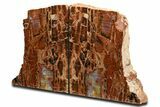 Tall Colorful Arizona Petrified Wood Bookends #344124-2